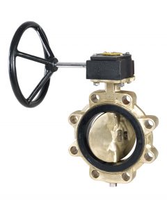 IVTL concentric butterfly valves that can be supplied by frenstar